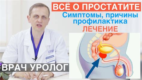 Лечение хронического простатита по данным медицины